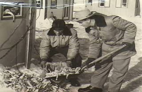 Poissons des chenaux Centre de peche Robert Mailhot